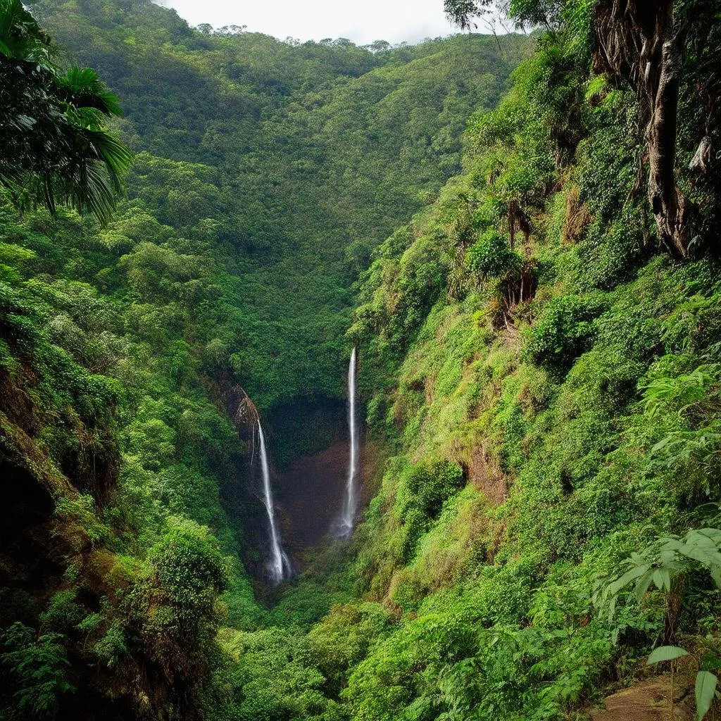 Lush greenery in El Yunque Rainforest